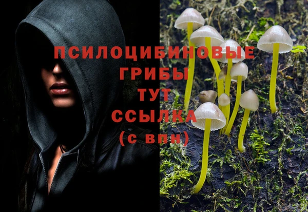 меф Алексин